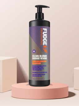 FUDGE PROFESSIONAL CLEAN...